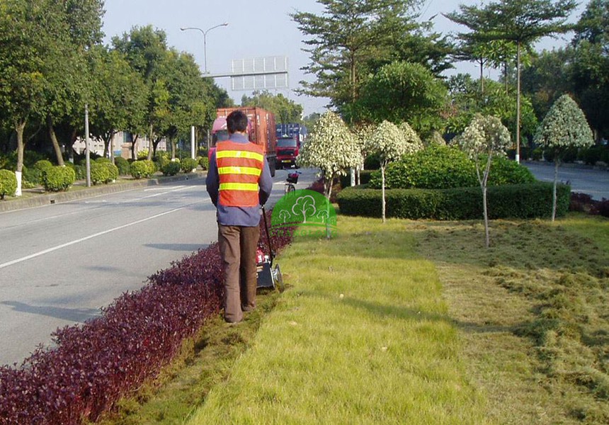 道路綠化養(yǎng)護